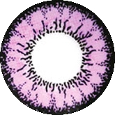 Geo Angel Violet Circle Color Lens - CM831 Violet